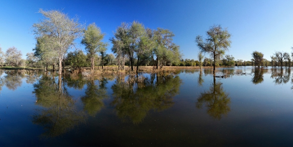 Africký mokřad