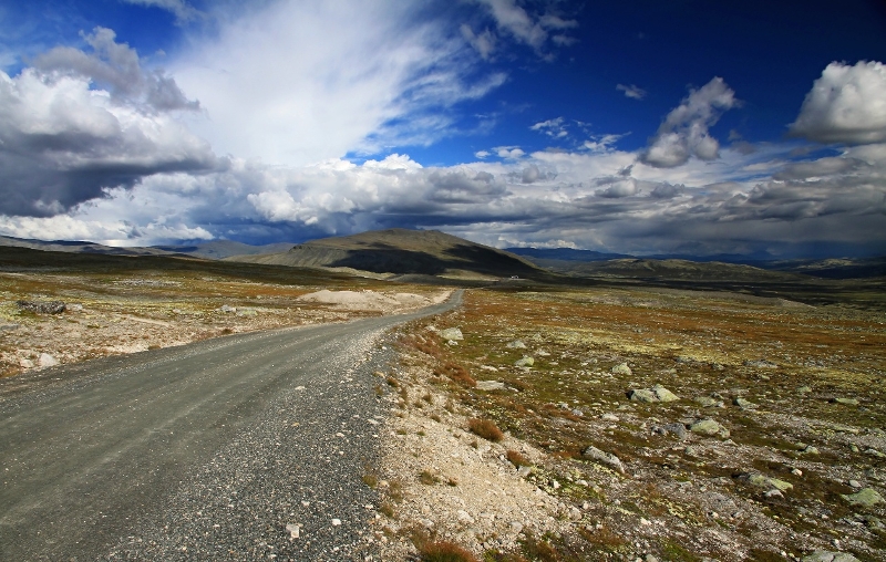 Dovrefjell NP