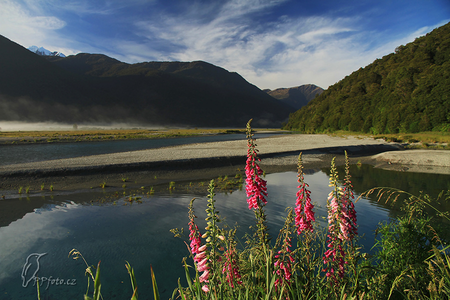 Haast river