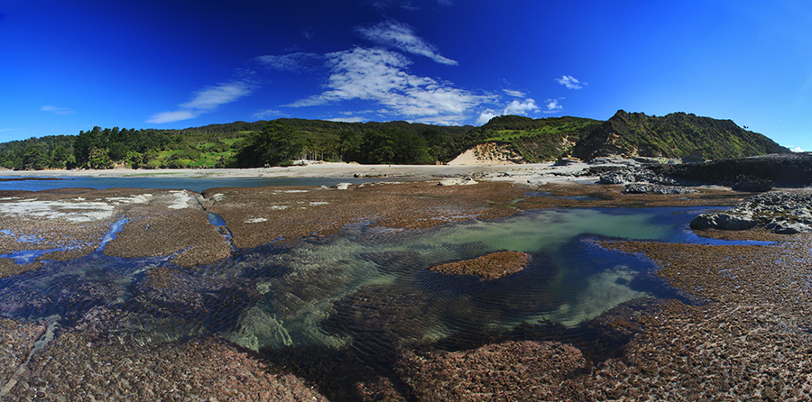 Kahurangi point