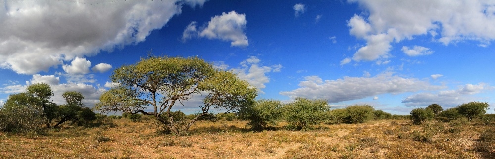 Krásný africký den