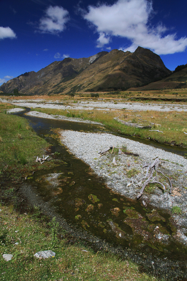 Moke Creek