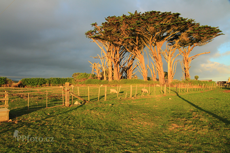 Oblast New Plymouth