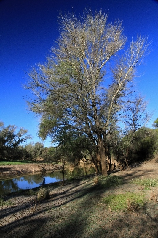 Řeka Limpopo