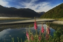 Haast river